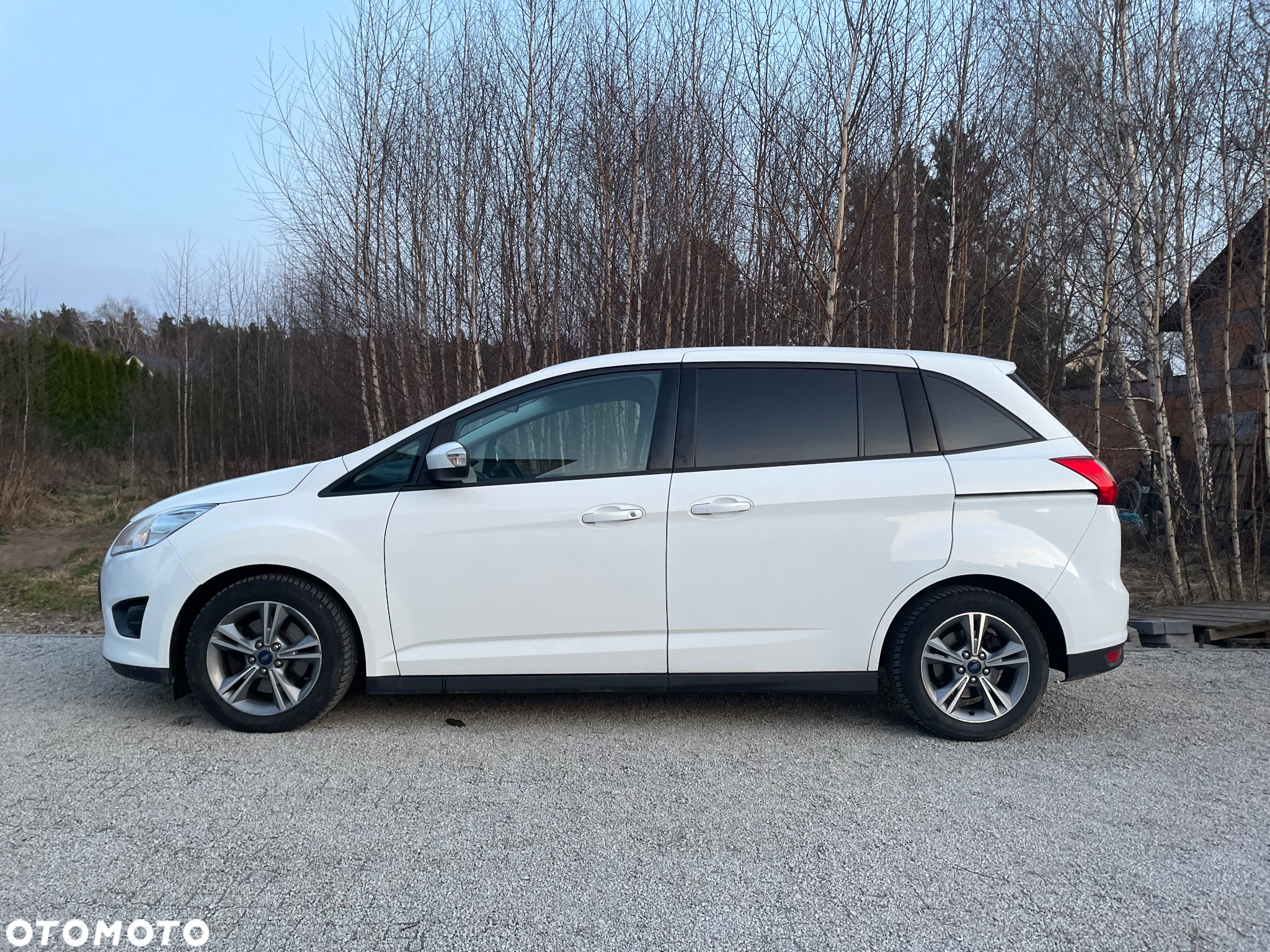 Ford Grand C-MAX 1.0 EcoBoost Start-Stopp-System Trend - 4