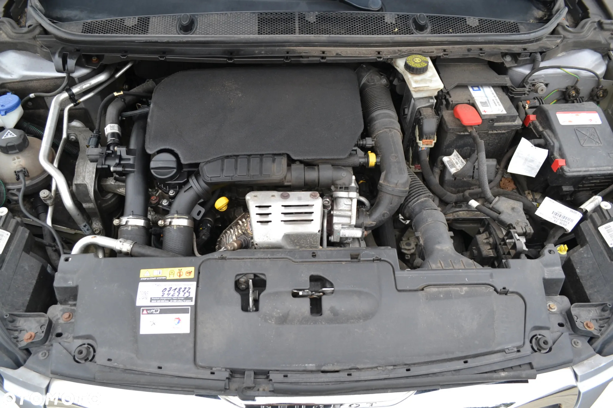 Peugeot 308 - 25