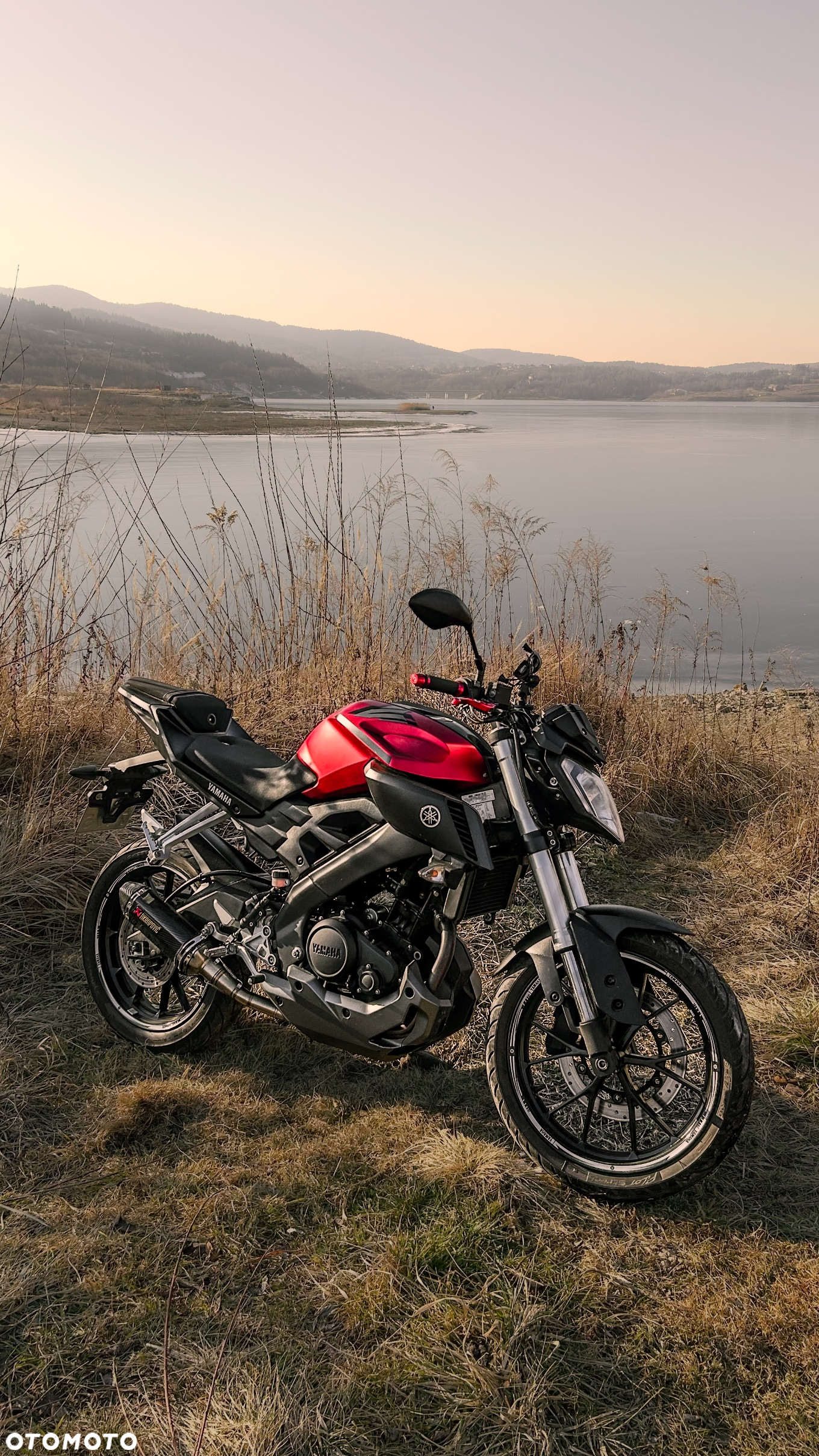 Yamaha MT - 4