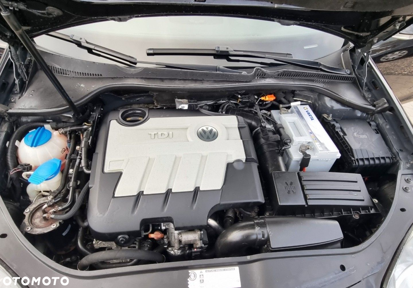 Volkswagen Golf - 28