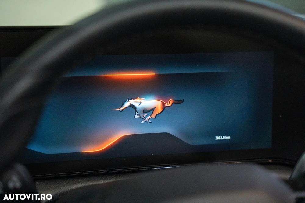 Ford Mustang 5.0 V8 Mach 1 - 16