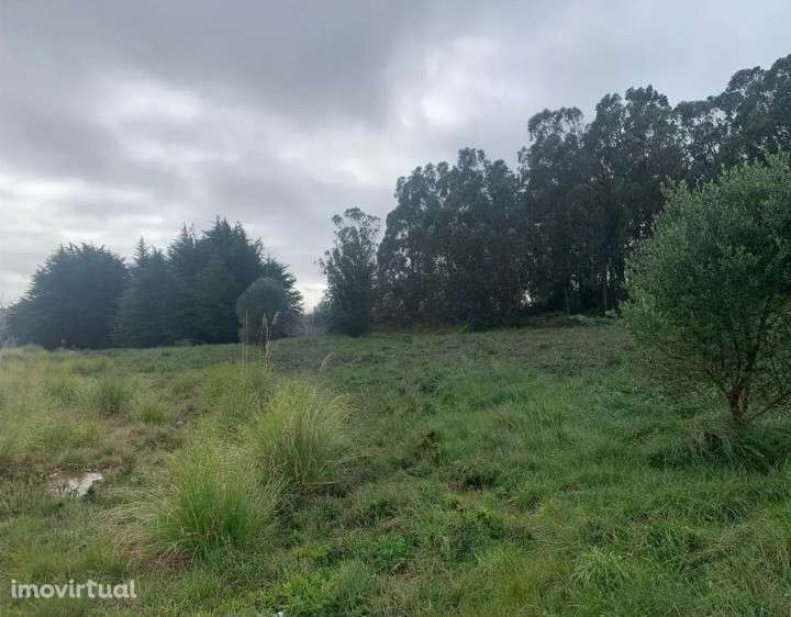 Terreno  Venda em Sintra (Santa Maria e São Miguel, São Martinho e São - Grande imagem: 5/13