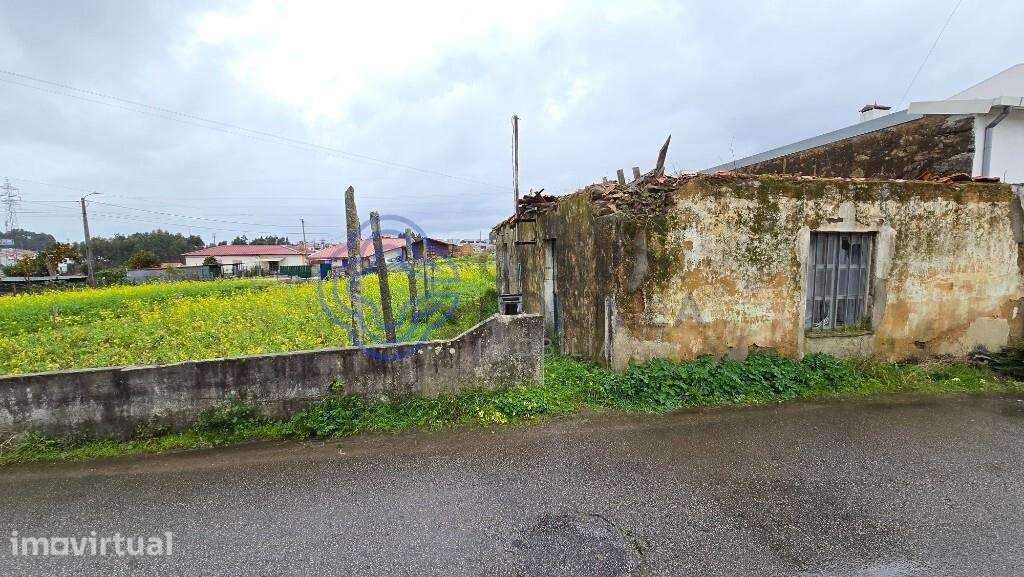 Santa Maria da Feira - Grande imagem: 3/8