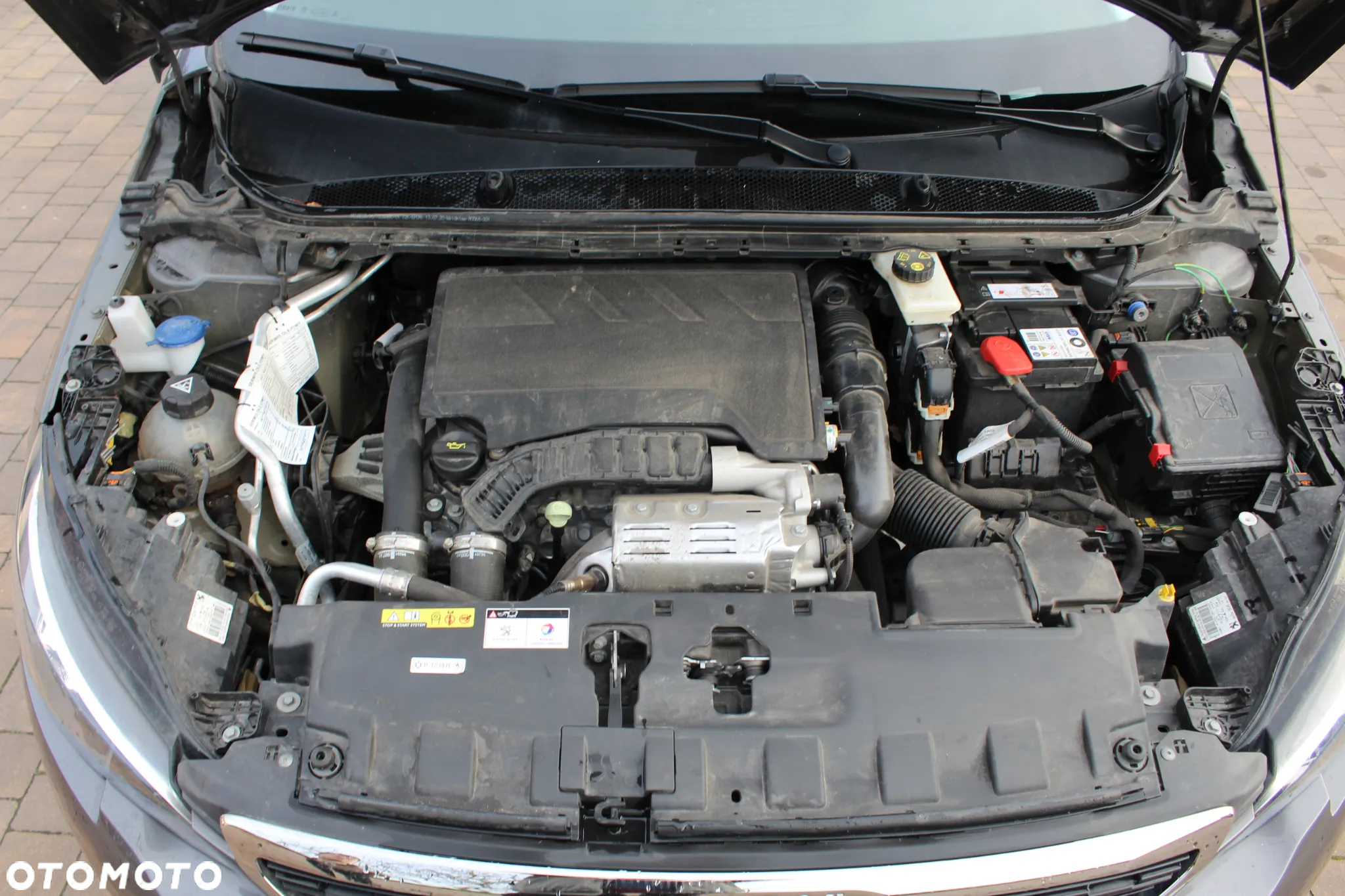 Peugeot 308 1.2 PureTech GPF Active Pack S&S - 21