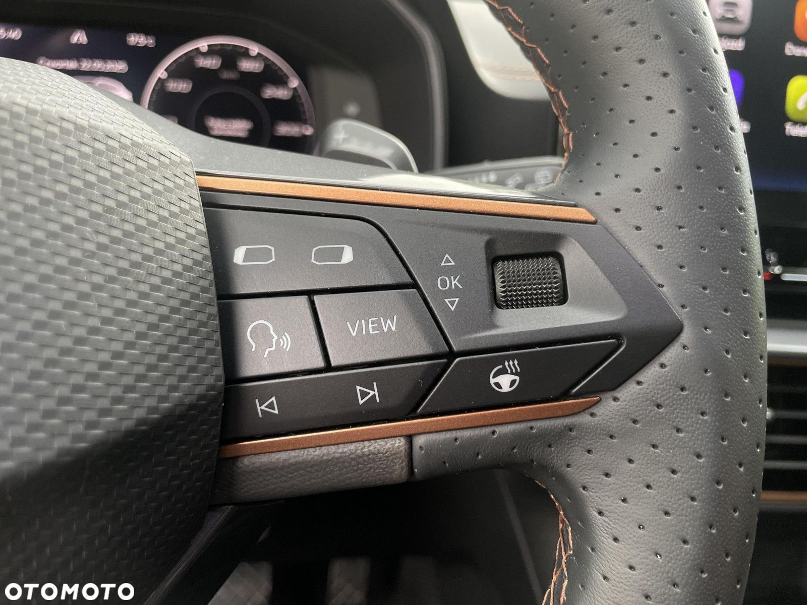 Cupra Formentor 2.0 TSI 4Drive DSG - 33