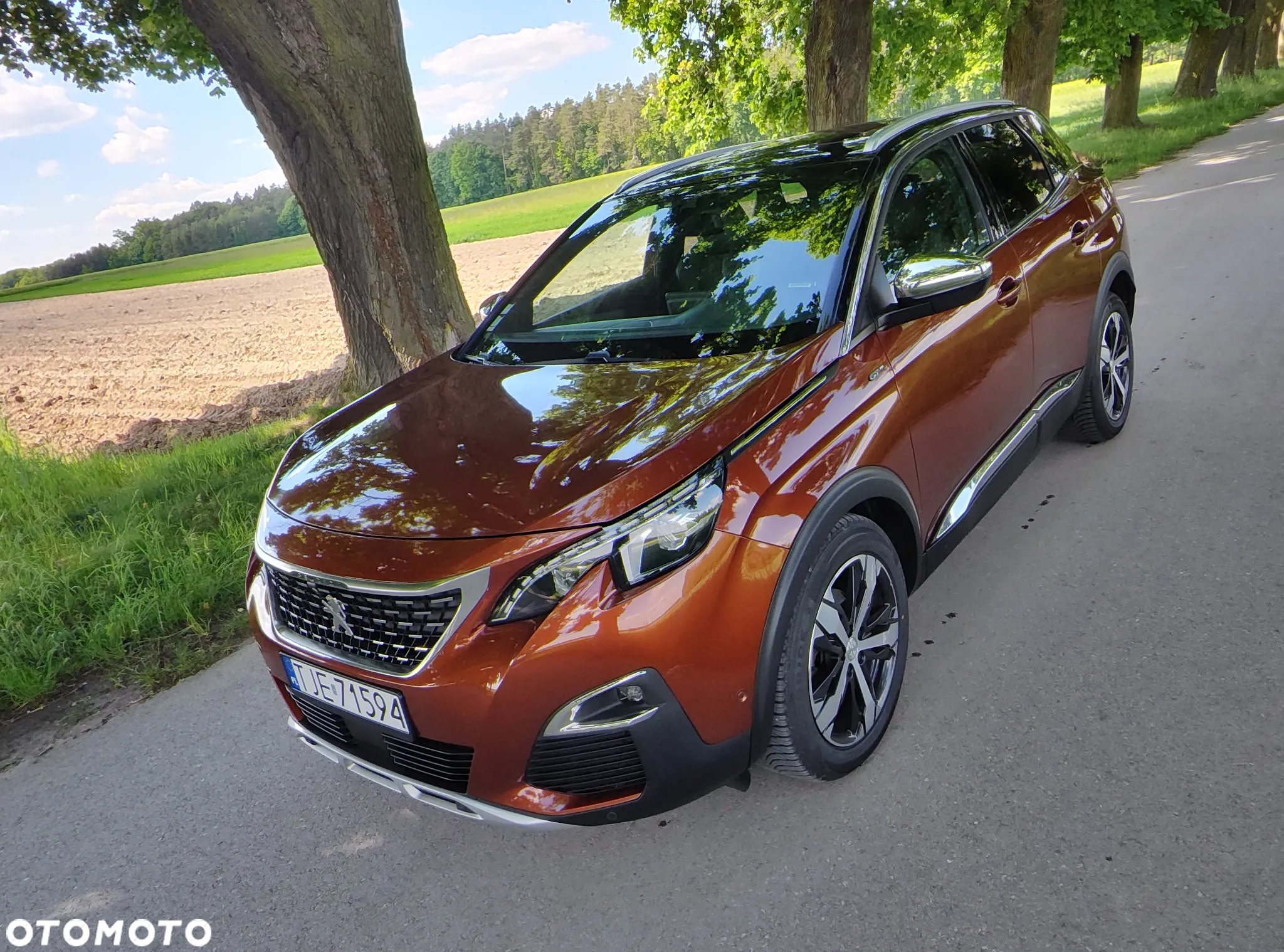 Peugeot 3008 2.0 BlueHDi GT S&S EAT8 - 11