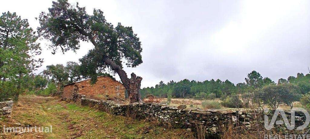Quinta rural em Benquerenças - Grande imagem: 4/9