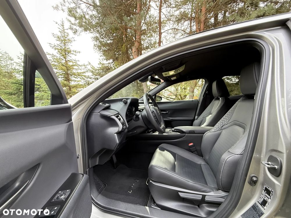 Lexus UX 250h GPF F Sport Design 2WD - 14