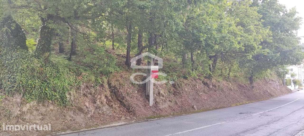 Terreno em Cepães - Fafe - Grande imagem: 3/10