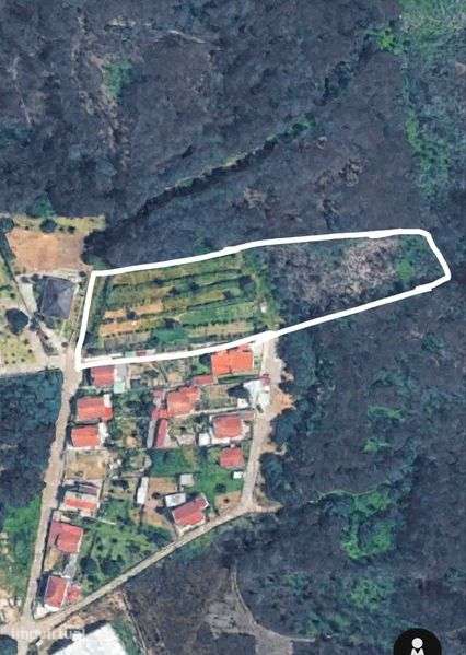 Imóveis/ terrenos