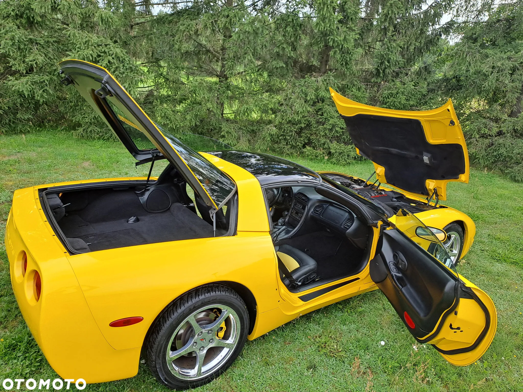 Chevrolet Corvette 5.7 - 13