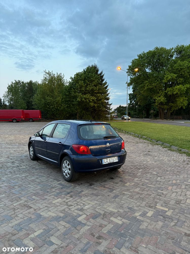 Peugeot 307 - 5