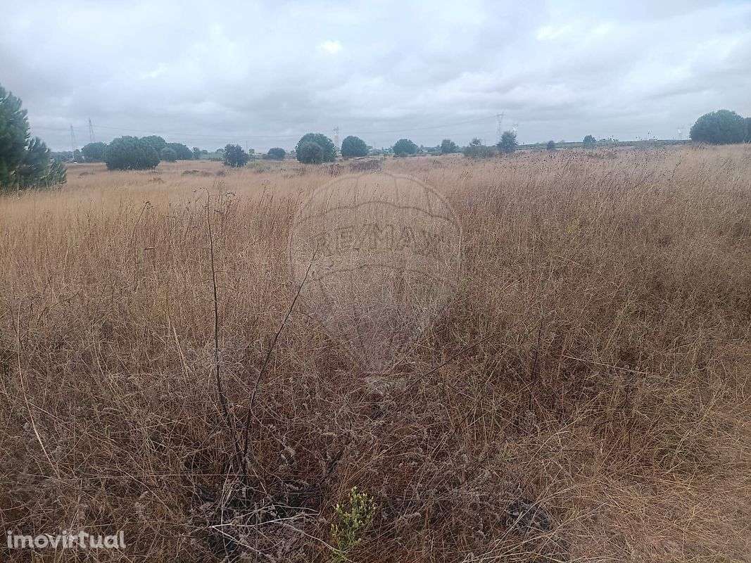 Terreno  para venda - Grande imagem: 5/5