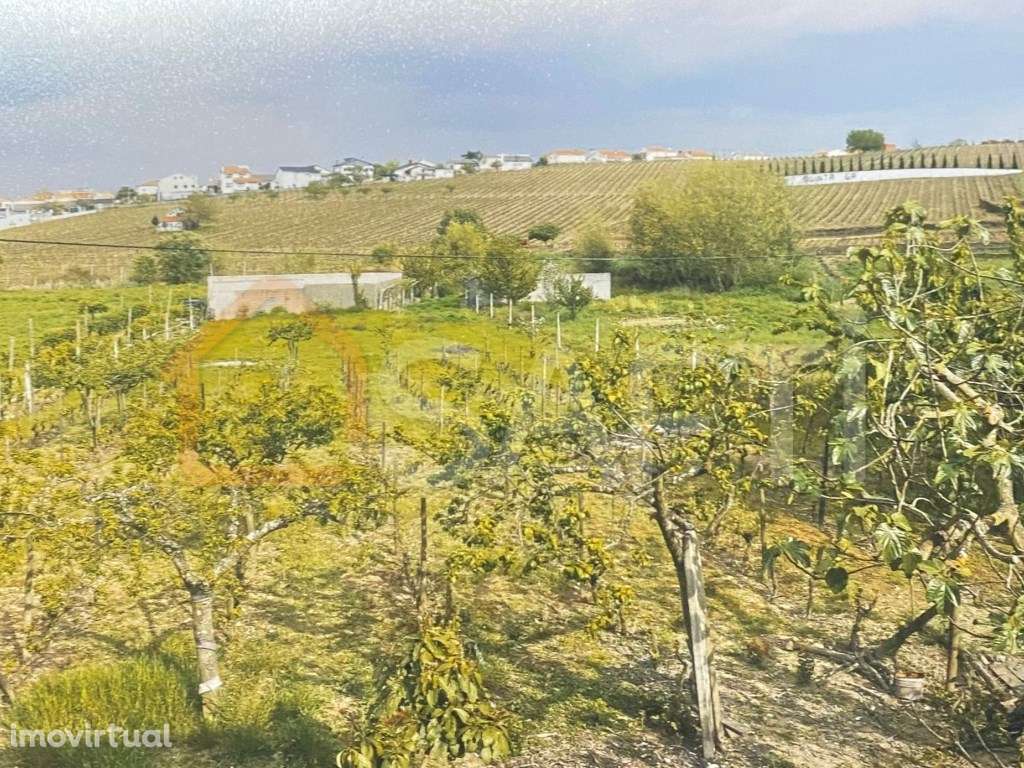 Moradia T3 Localizada nas deslumbrantes paisagens do Douro a três m... - Grande imagem: 3/10