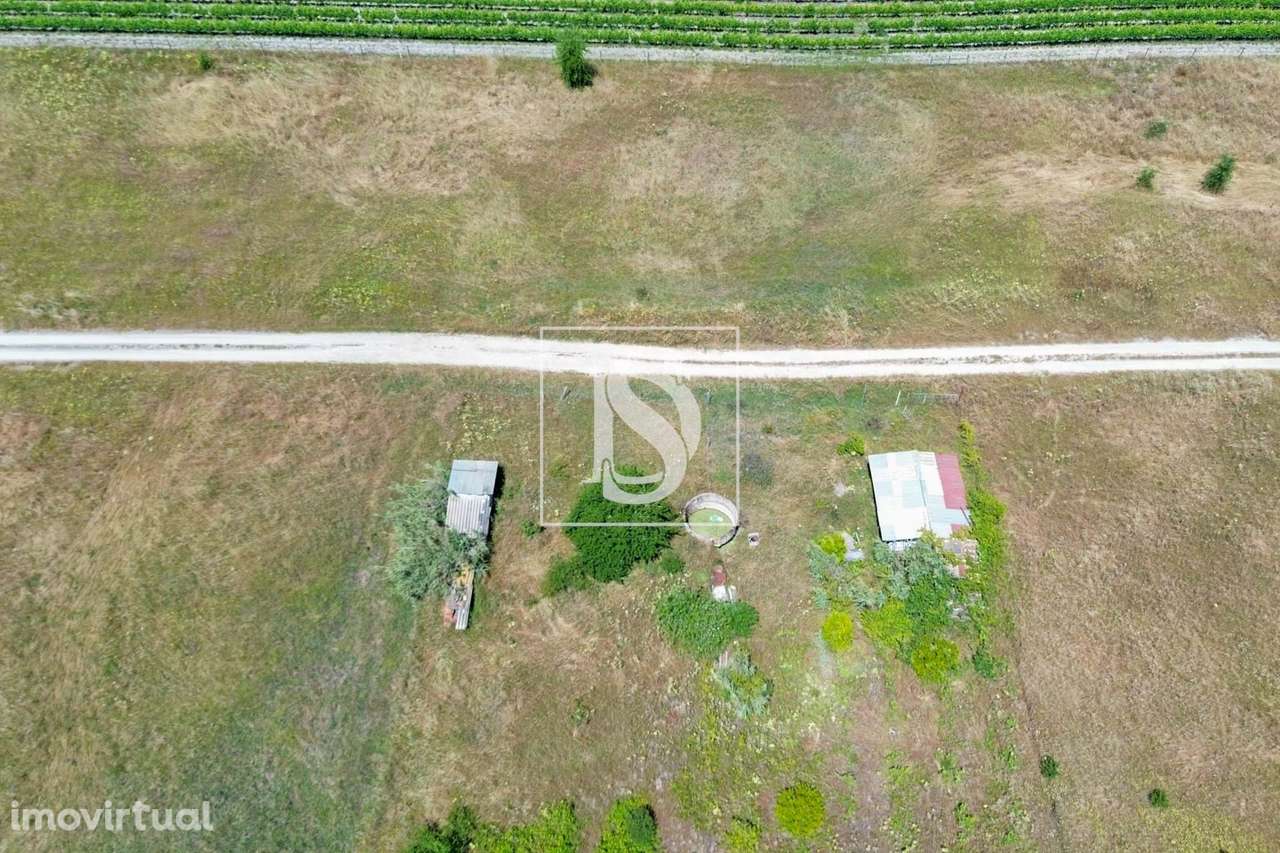 Terreno Rústico com Potencial Agrícola e Residencial na Lagoa do Calvo - Grande imagem: 3/14