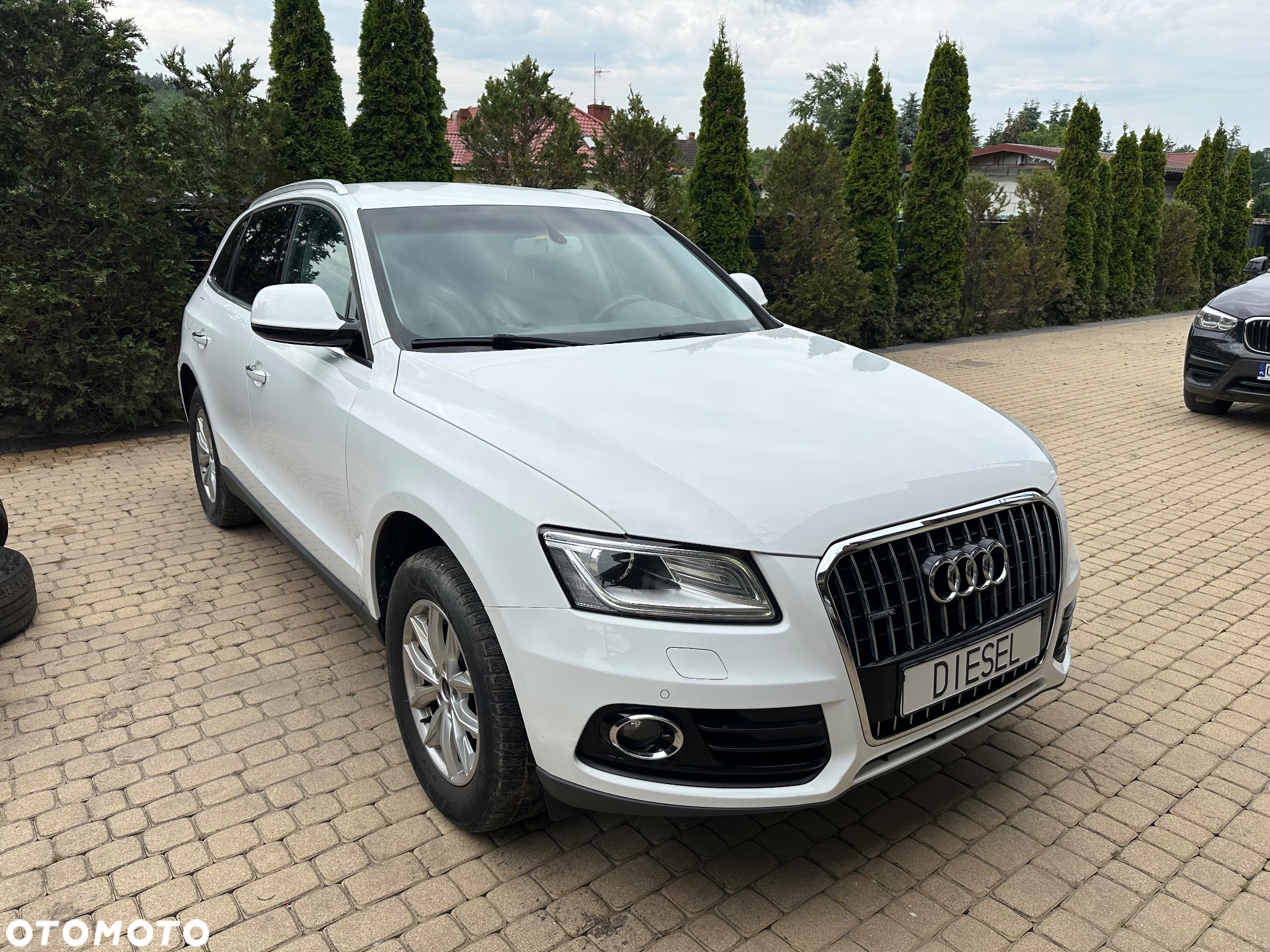 Audi Q5 2.0 TDI clean diesel Quattro S tronic - 23