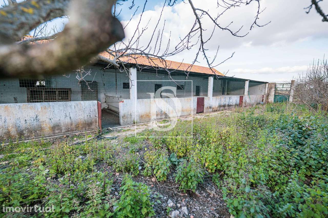 Herdade T3+2 Venda em Poceirão e Marateca,Palmela - Grande imagem: 3/29