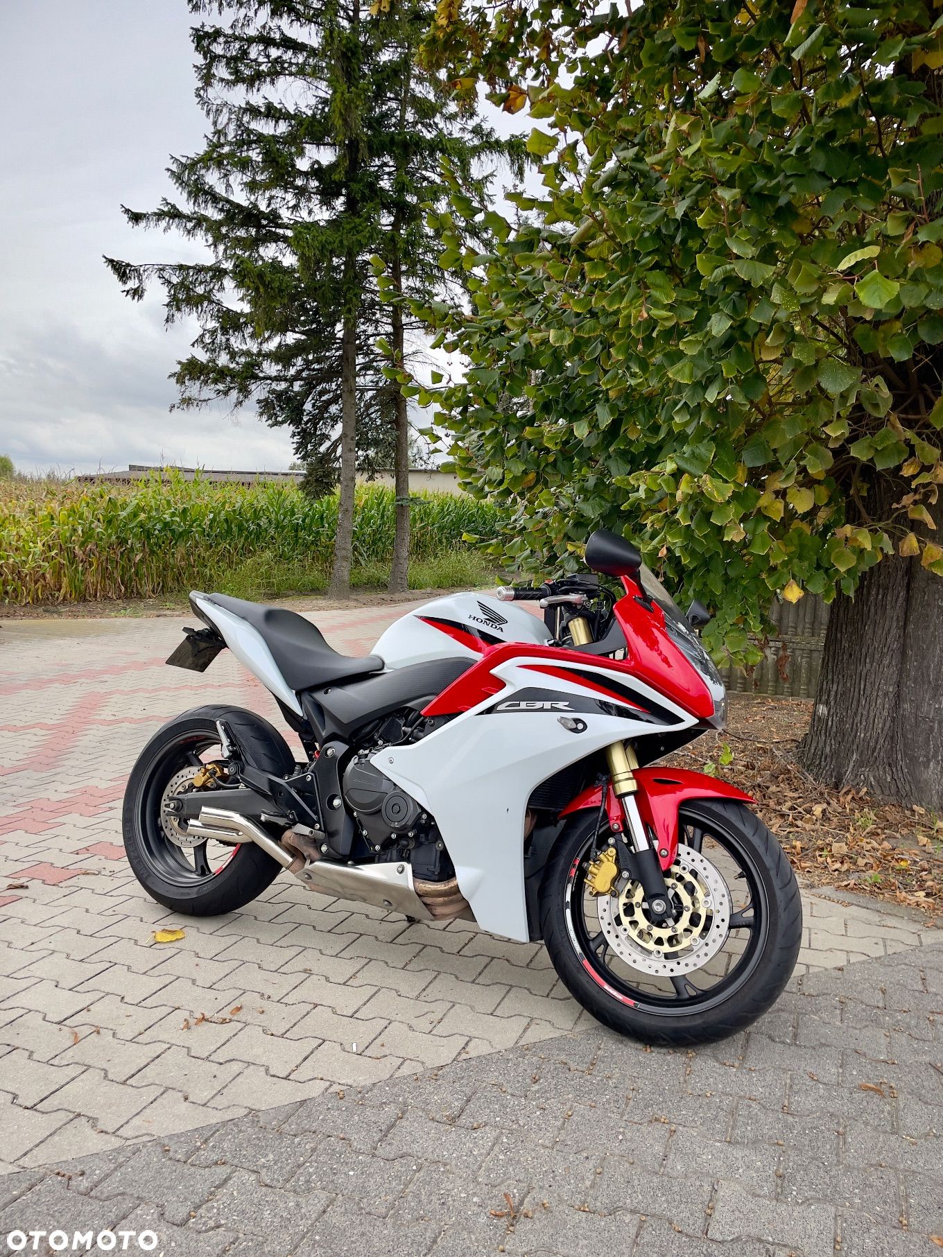 Honda CBR - 1