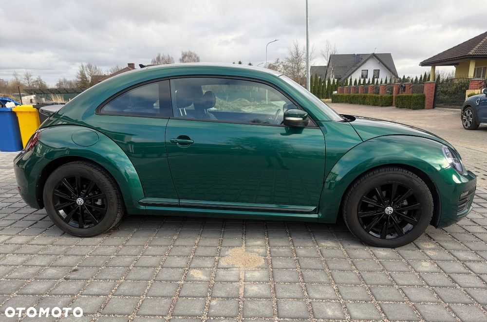 Volkswagen Beetle - 3
