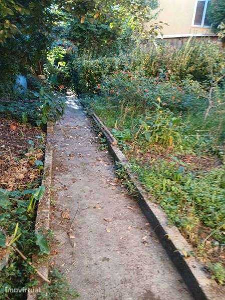 Pequena Quinta com 1600m2, Milheirós, Maia - Grande imagem: 5/11
