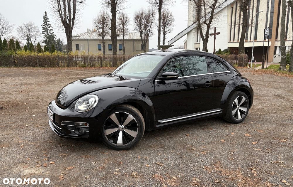 Volkswagen Beetle - 6