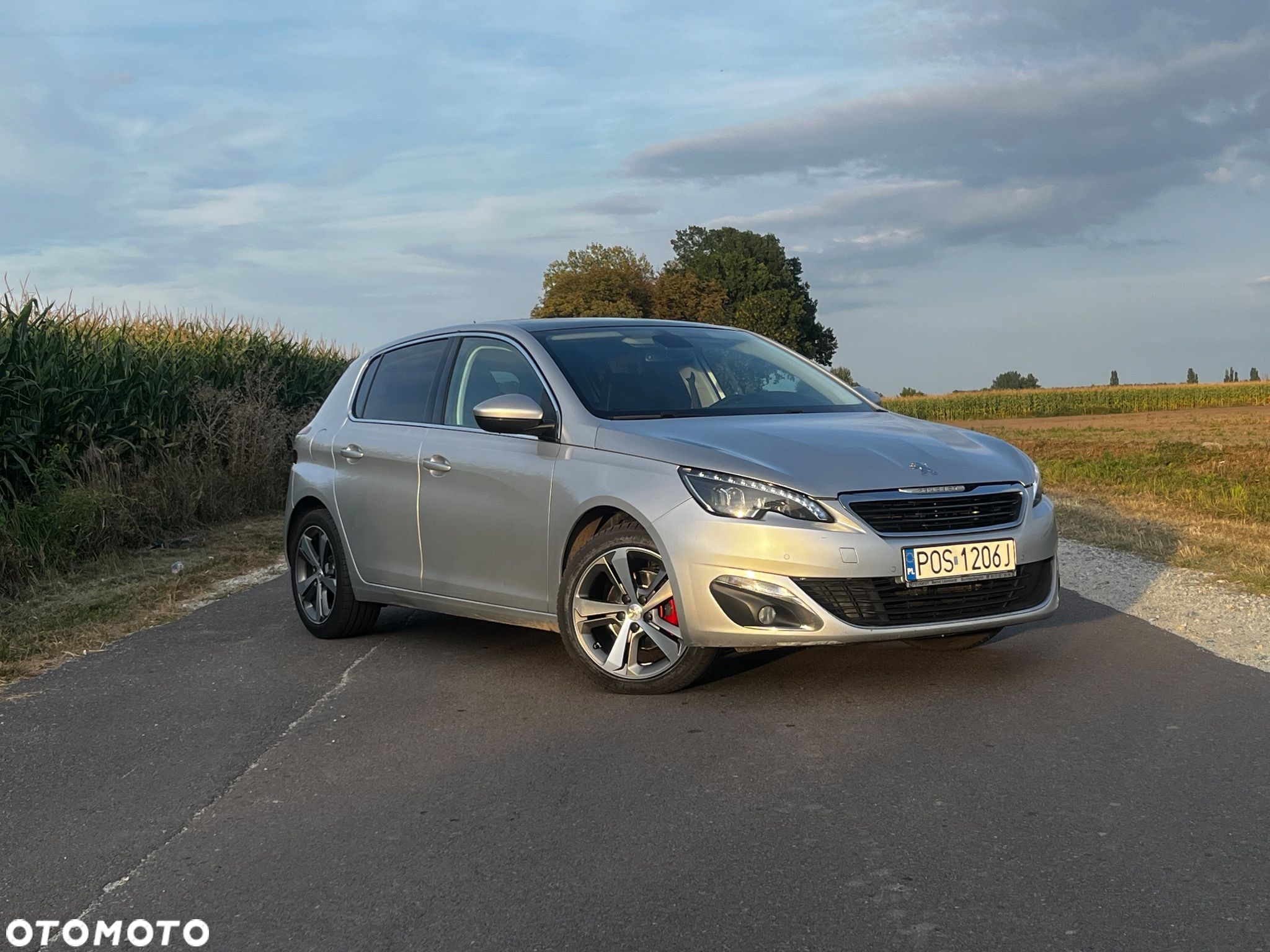 Peugeot 308 1.6 e-HDi Allure S&S - 1