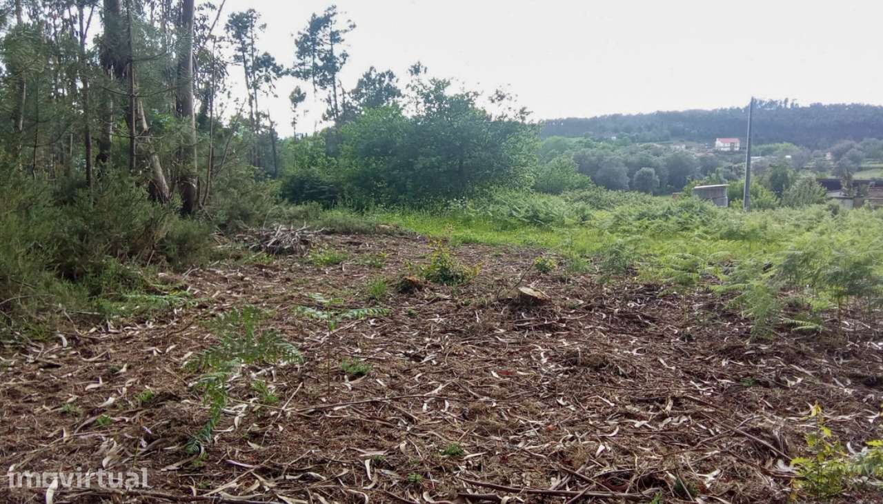 Venda de Terreno de construção com 1.172m², São Pedro de Arcos, Po - Grande imagem: 4/23