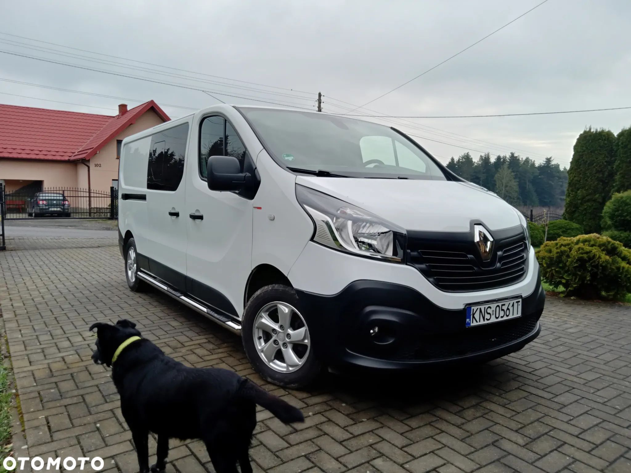 Renault Trafic - 1