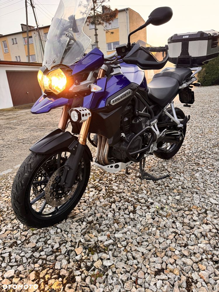 Triumph Tiger - 18