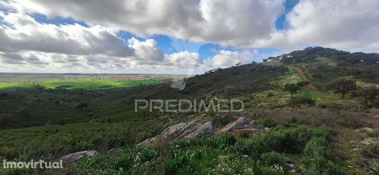 Vende-se Herdade – 34 Hectares - Grande imagem: 3/5