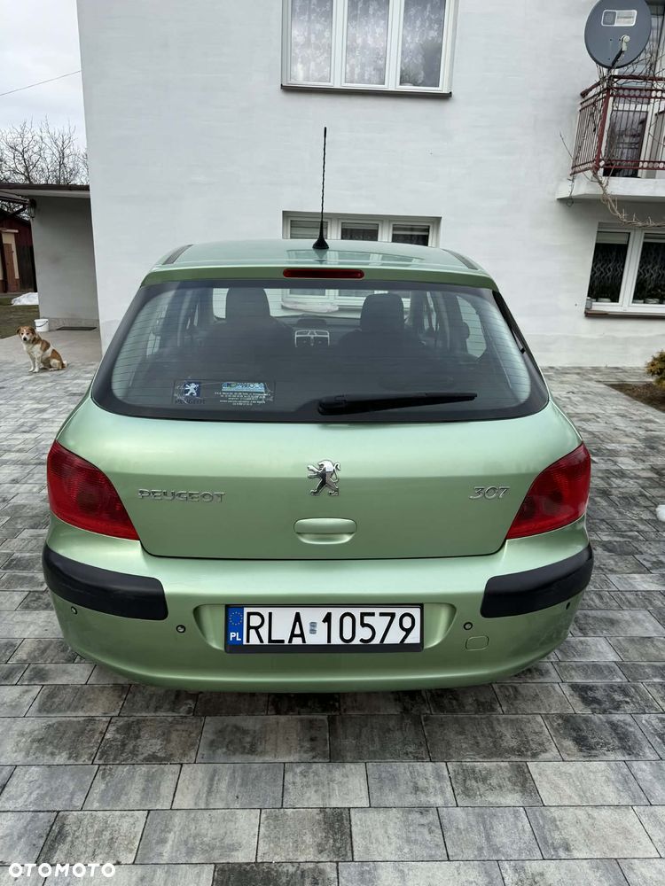 Peugeot 307 1.6 XS - 6