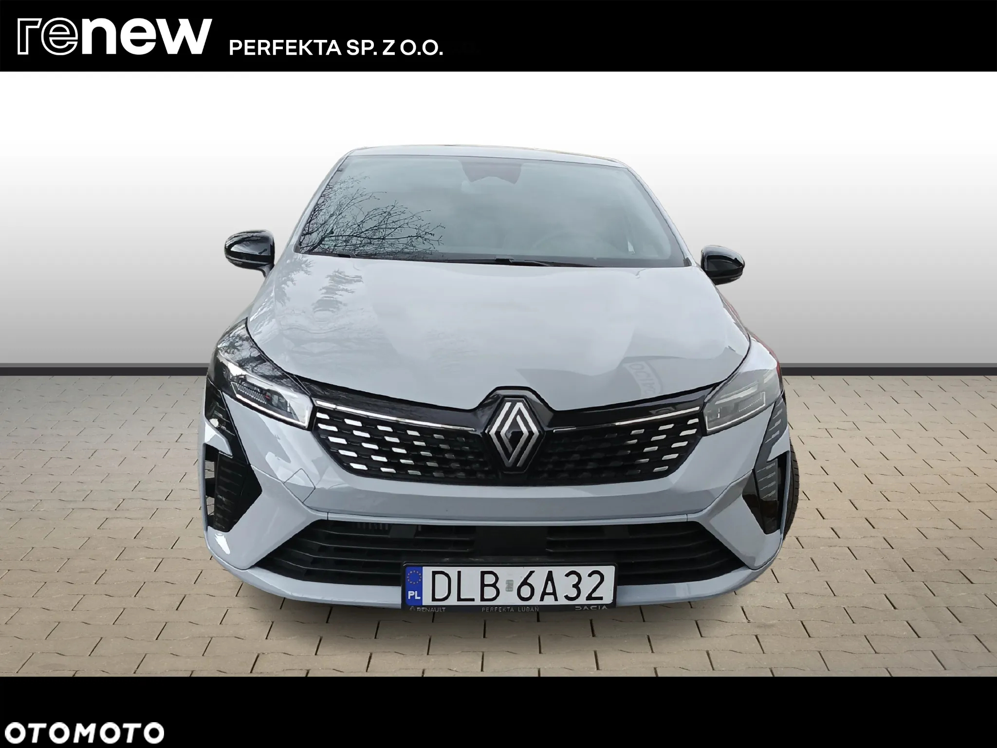 Renault Clio - 8