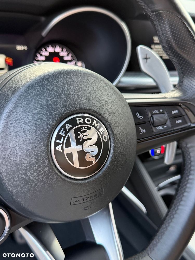 Alfa Romeo Stelvio 2.0 Turbo Veloce Q4 - 9