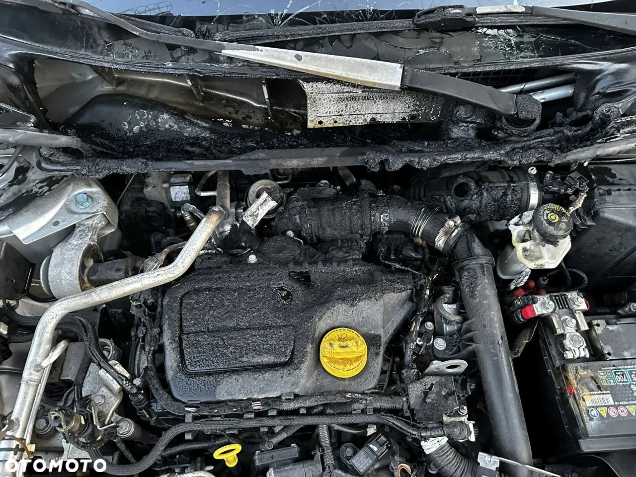 Renault Kadjar 1.6 dCi Energy Intens 4x4 - 23