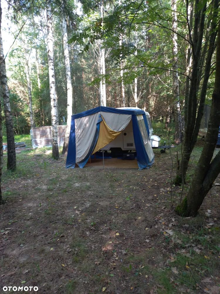 Niewiadów N126 - 20