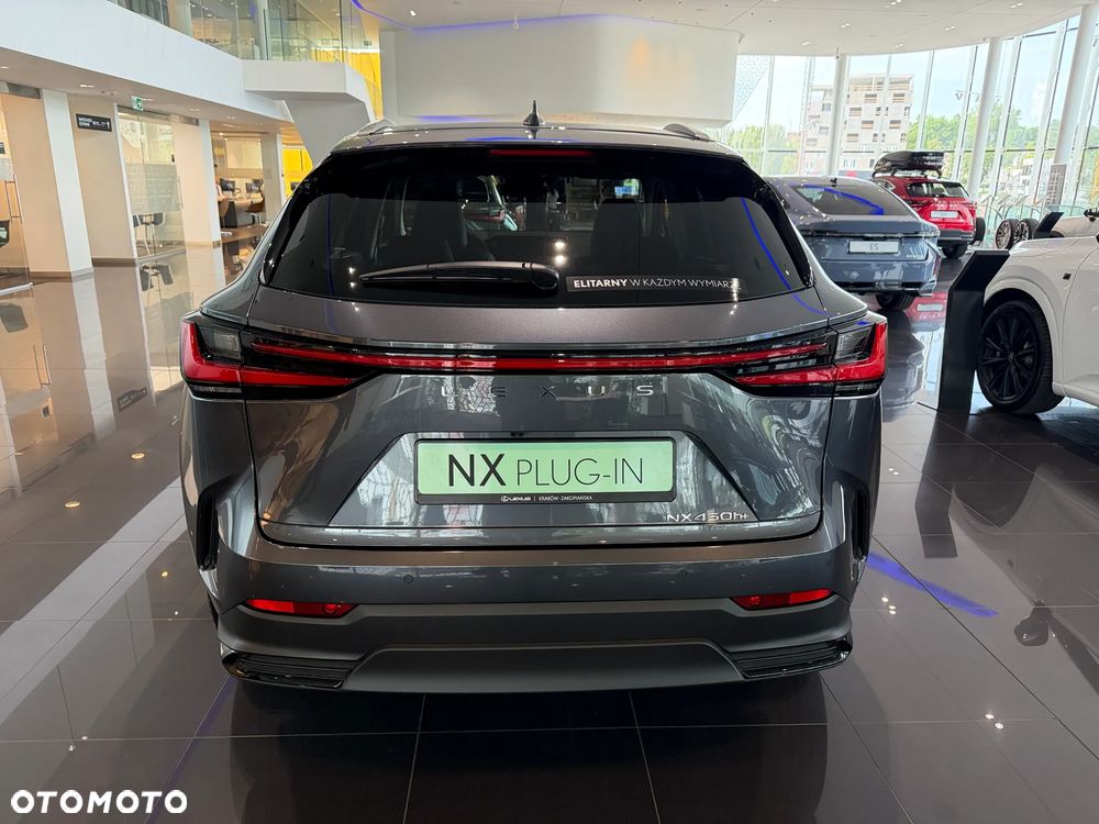 Lexus NX - 6