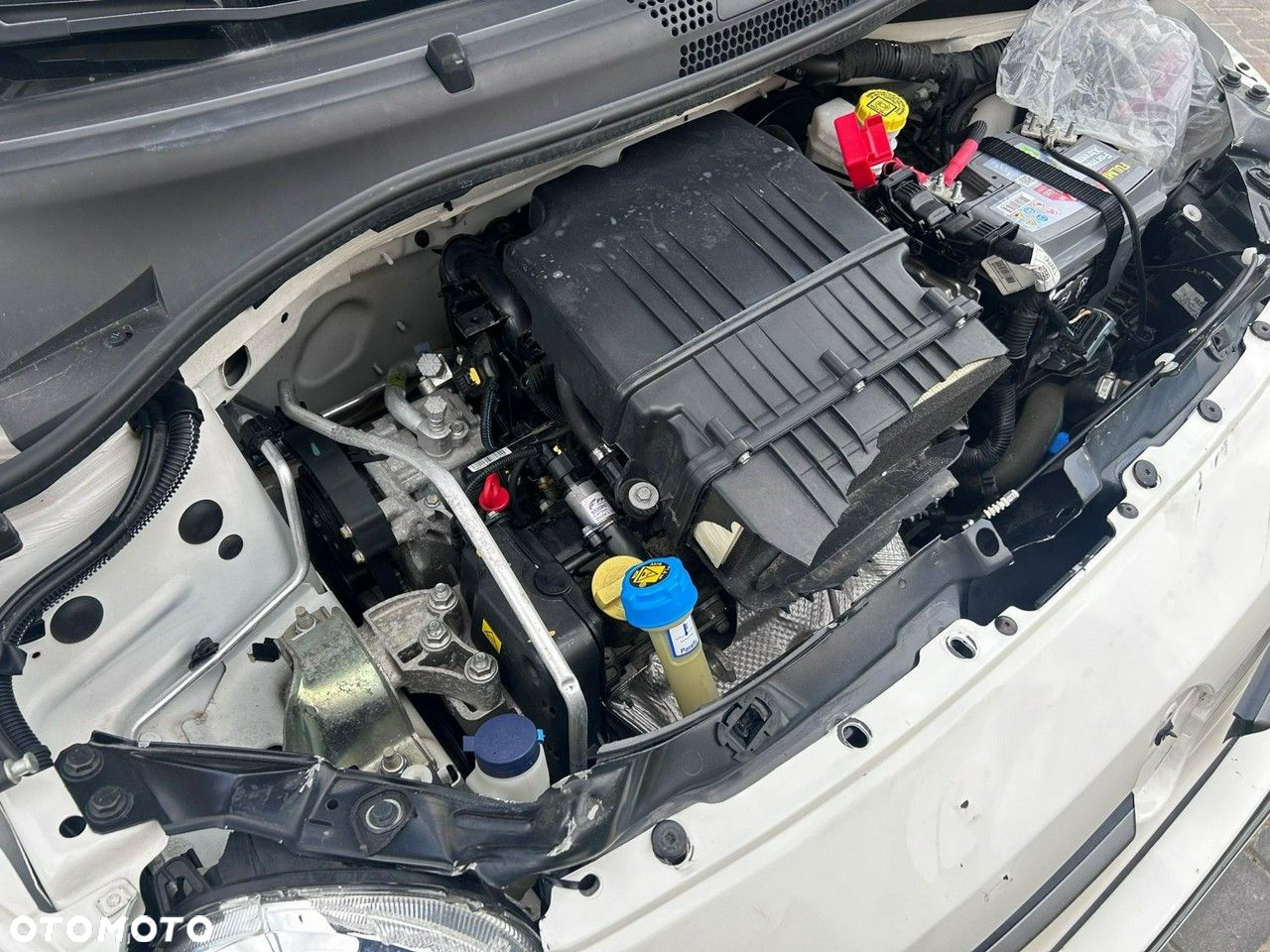 Fiat 500 - 15