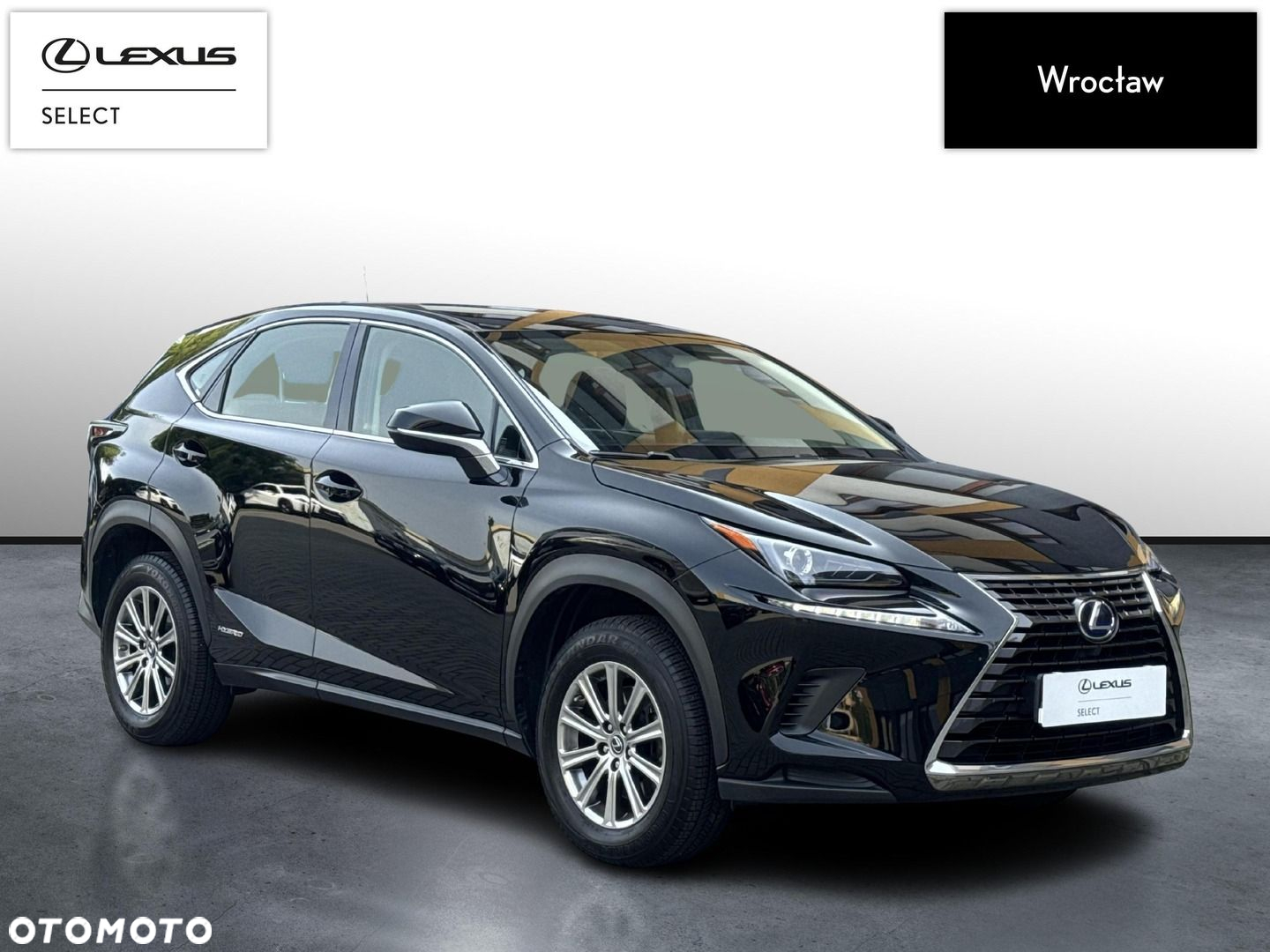 Lexus NX 300h Elegance 2WD - 7