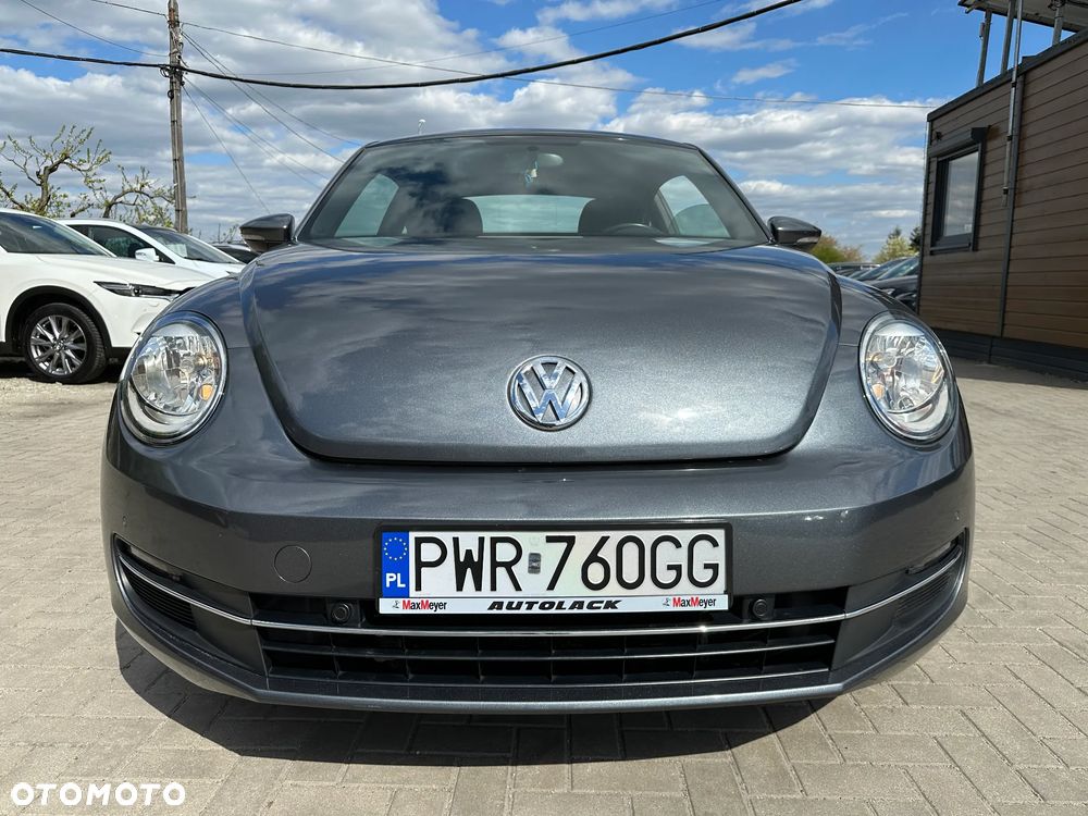 Volkswagen Beetle - 37