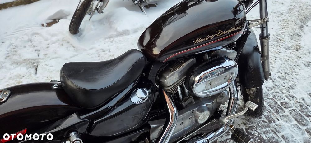 Harley-Davidson Sportster Custom 883C - 23