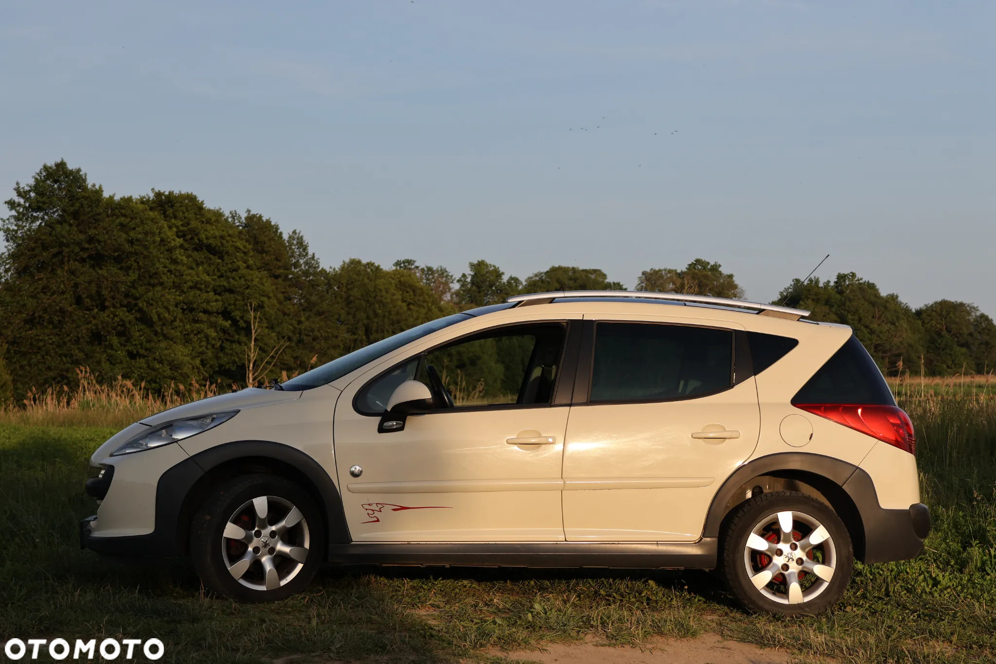 Peugeot 207 Outdoor 1.6 HDi - 23