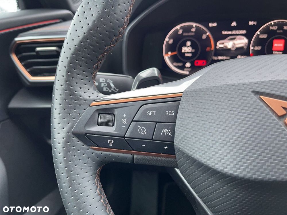 Cupra Formentor 2.0 TDI 4Drive DSG - 25