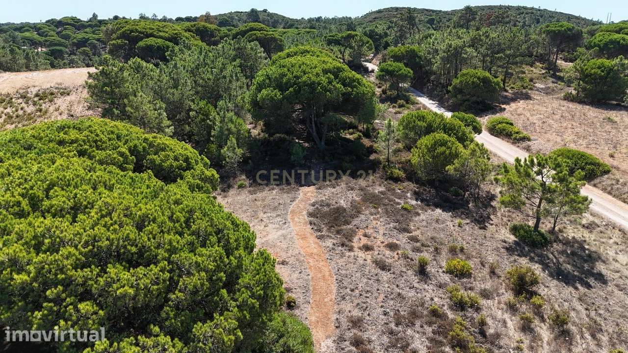 Terreno com área de 10.000m2 com projeto aprovado perto da Aldeia do M - Grande imagem: 5/18