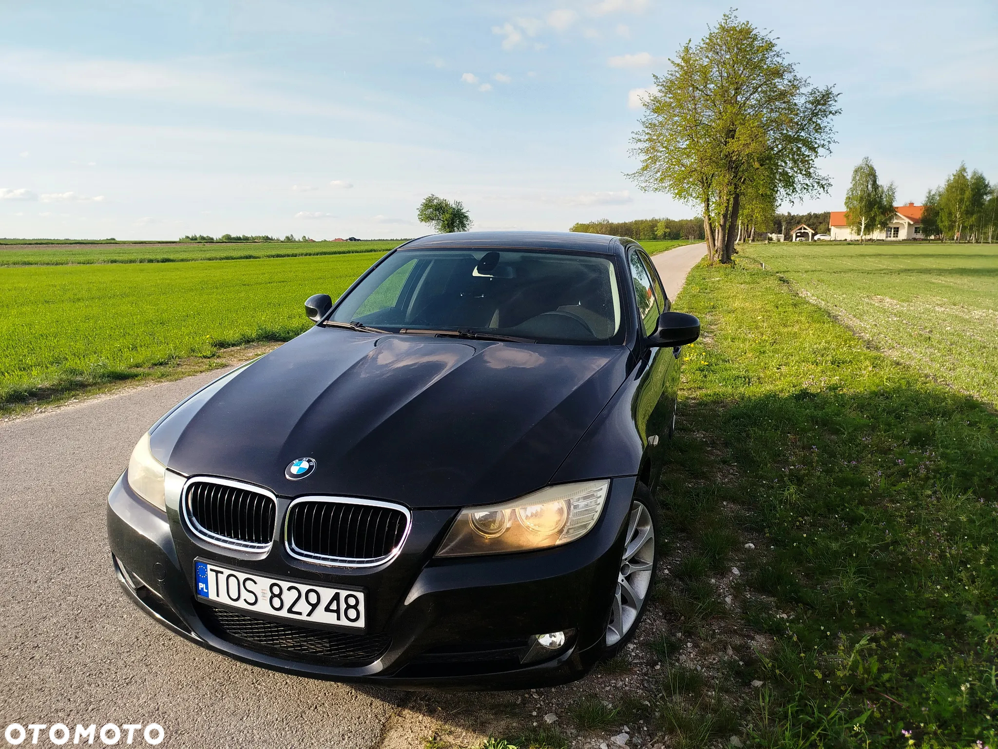 BMW Seria 3 318i - 10