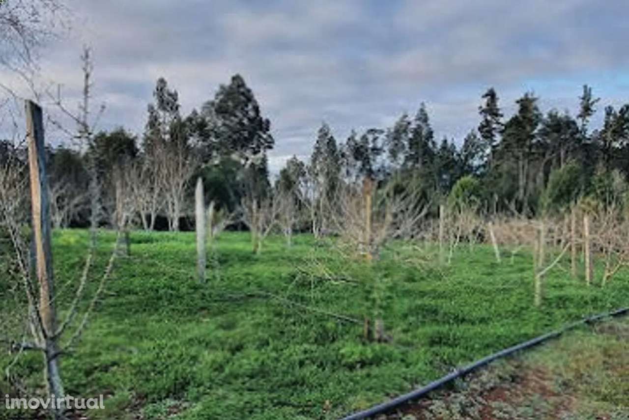 Private Nature Retreat 6,760 m² in Madeira - Grande imagem: 5/5