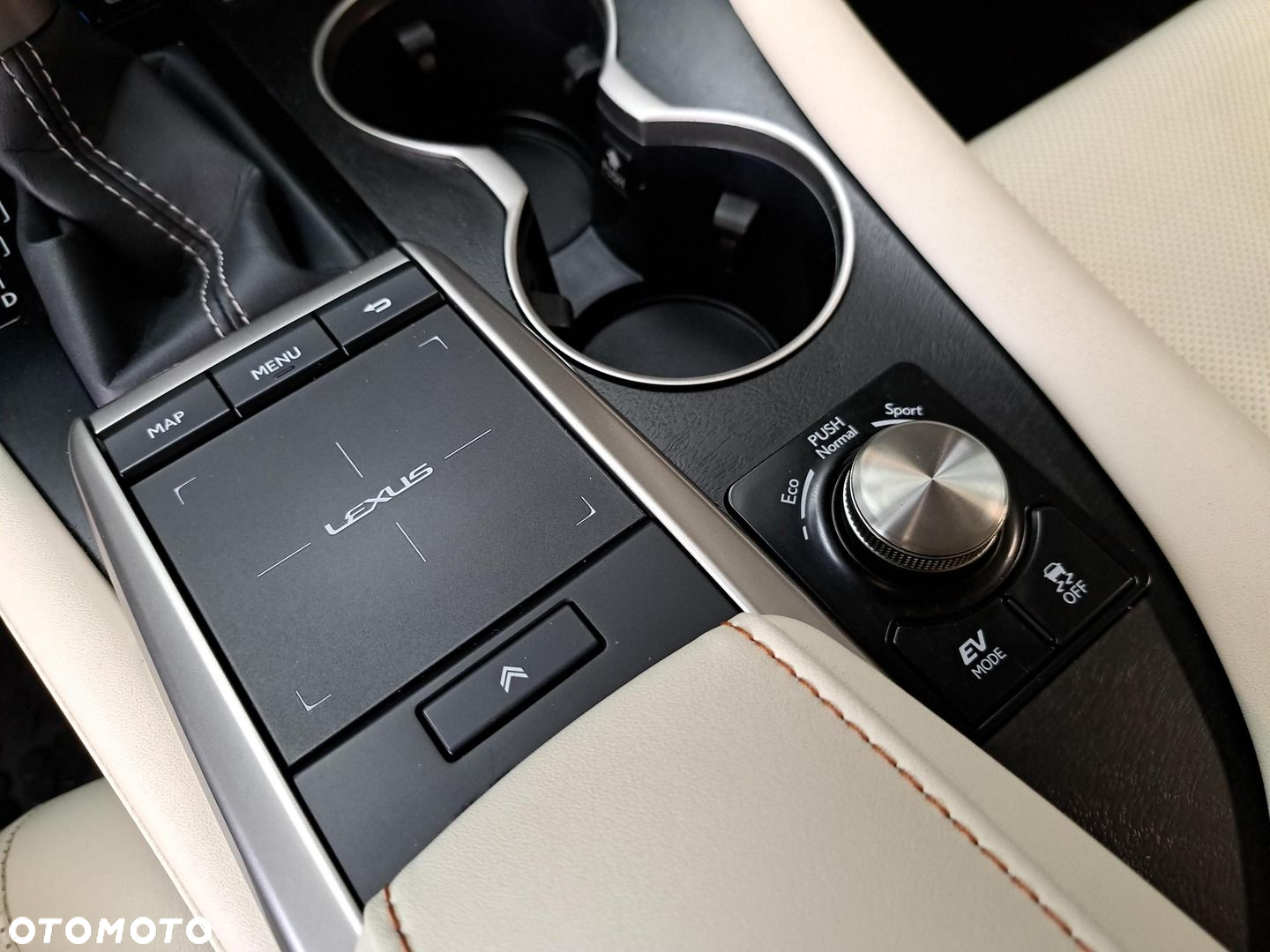 Lexus RX 450h F-Impression - 29