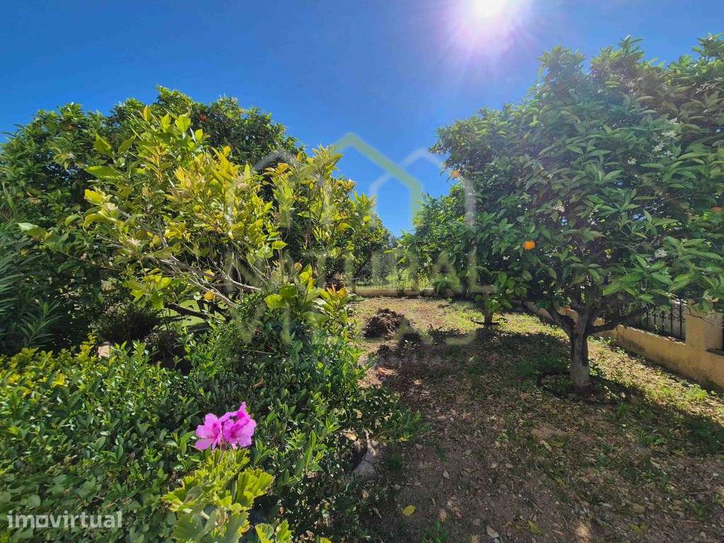 Moradia Isolada T5 com jardim magnífico em Loulé - Grande imagem: 5/49
