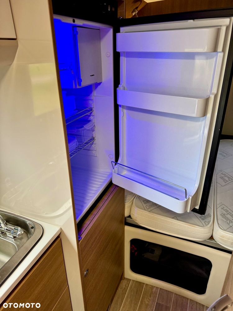 McLOUIS Prestige - 16