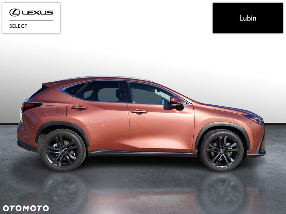 Lexus NX - 6