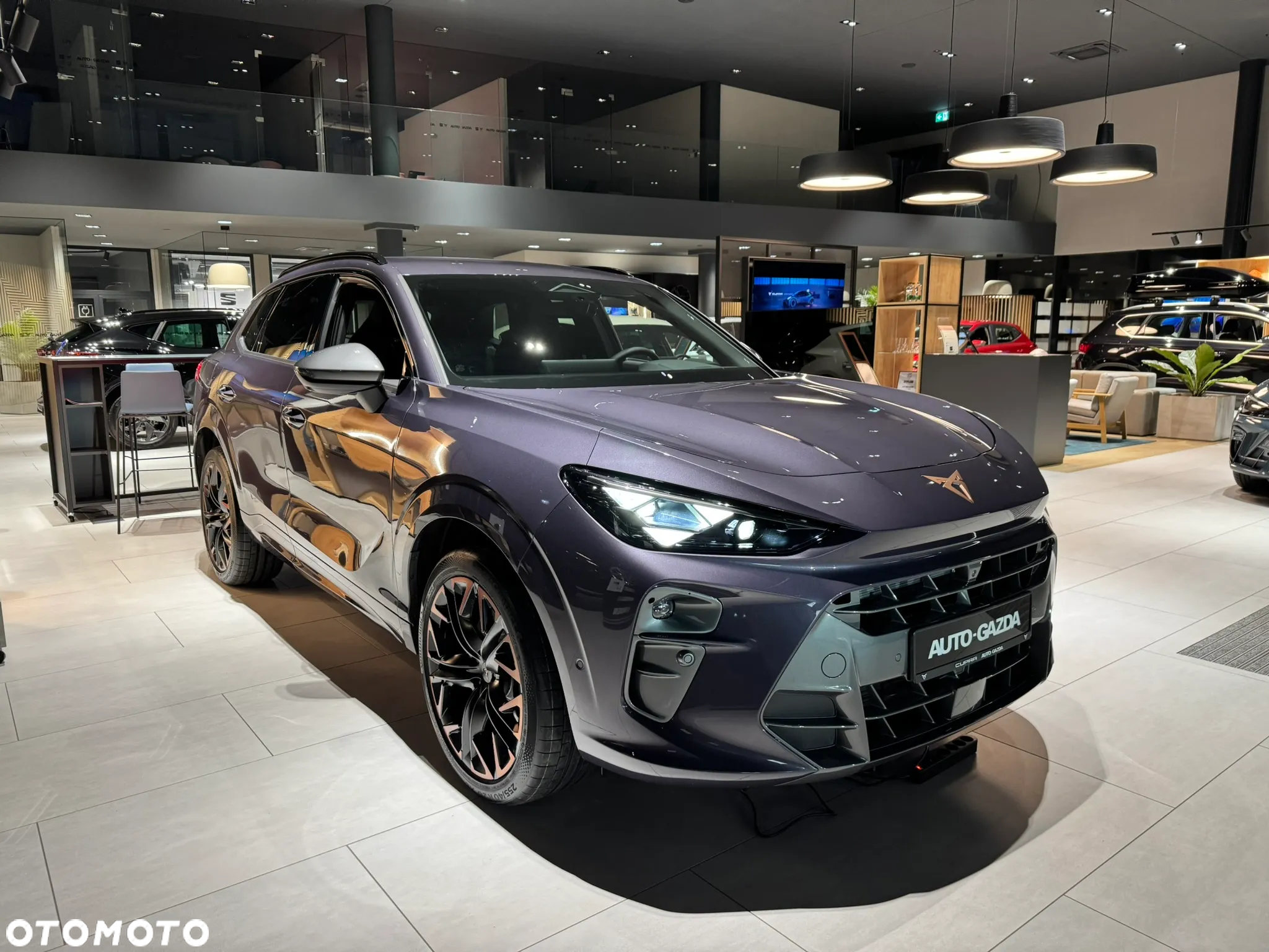 Cupra Terramar 2.0 TSI 4Drive VZ DSG - 2